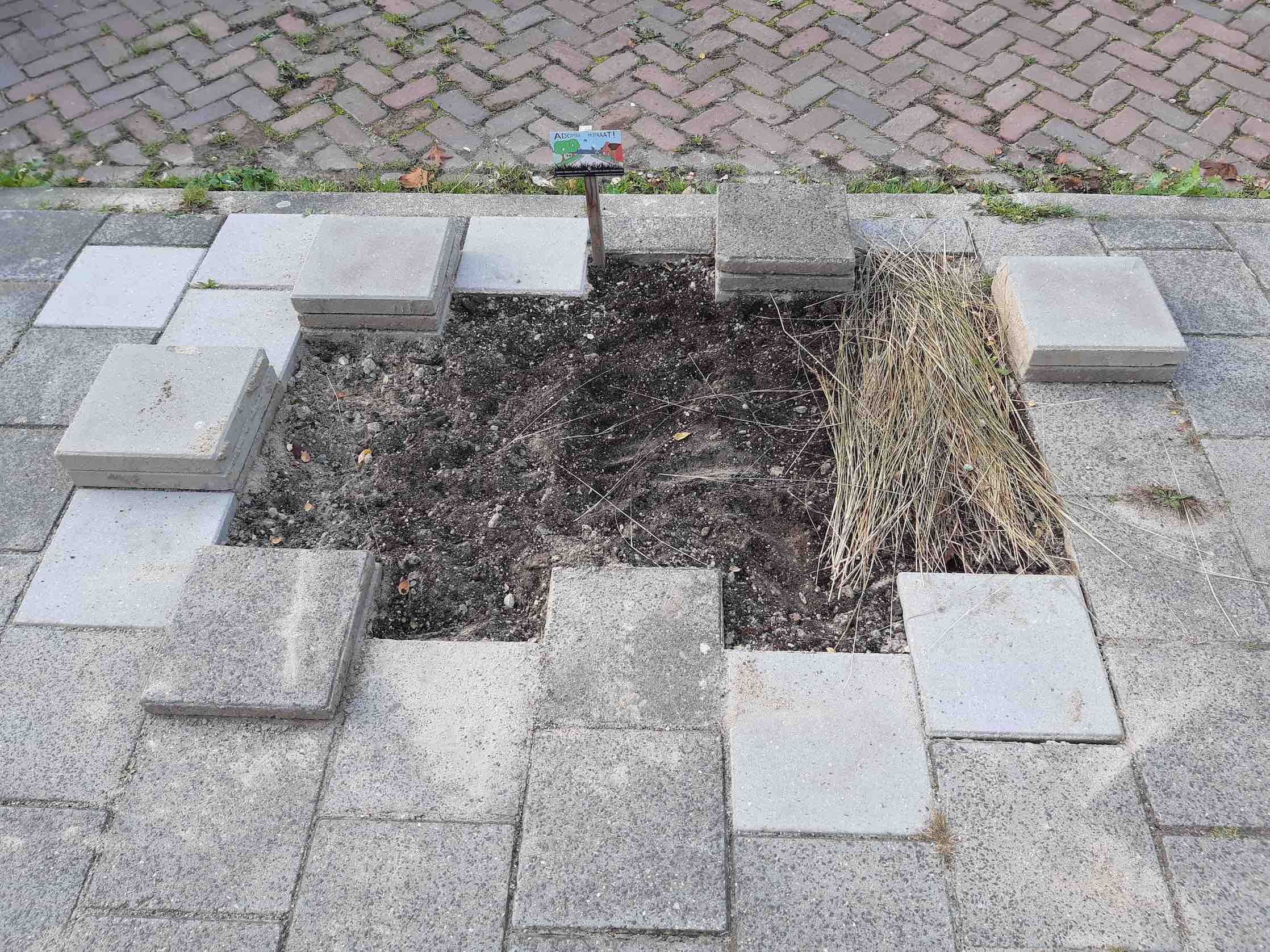 Action 1:removing pavement